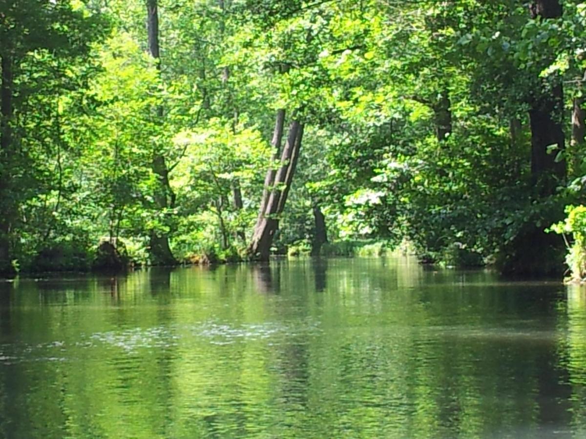 Doppelzimmer Im Spreewald 布尔格 外观 照片