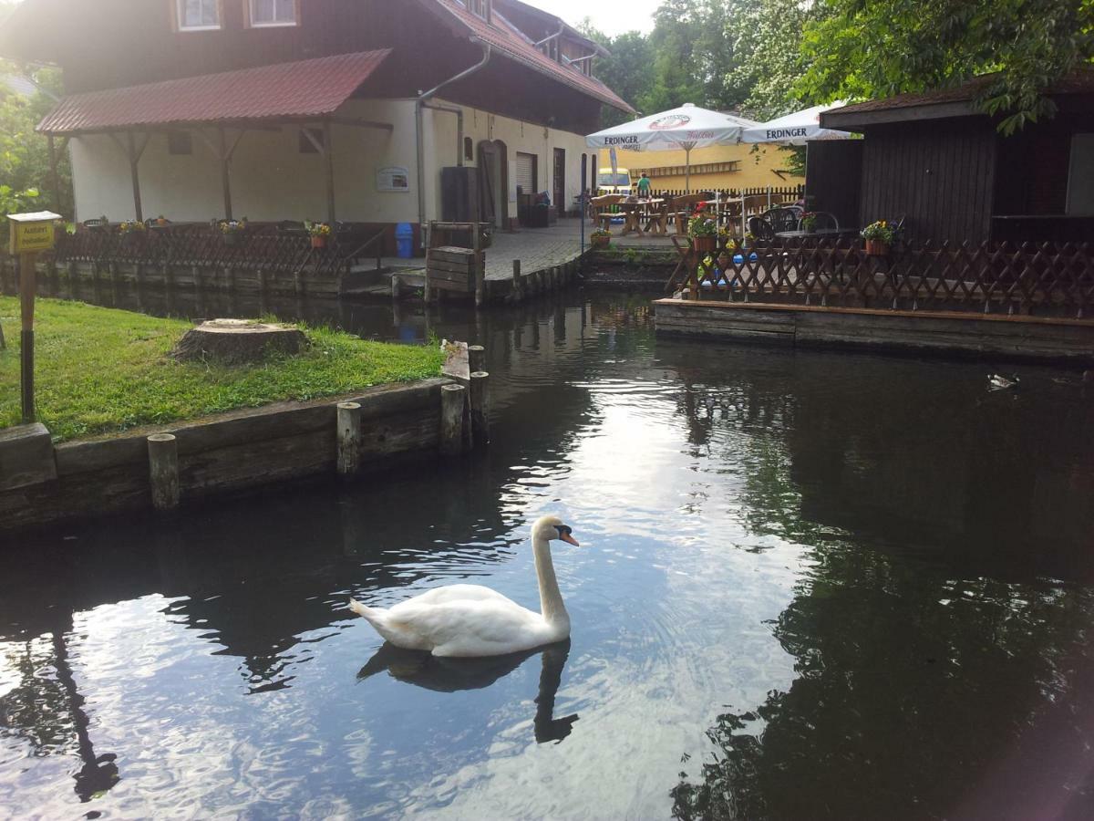Doppelzimmer Im Spreewald 布尔格 外观 照片