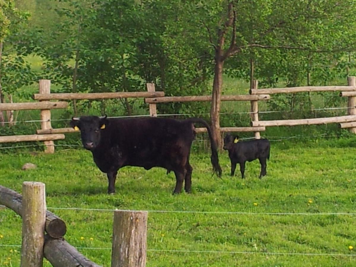 Doppelzimmer Im Spreewald 布尔格 外观 照片